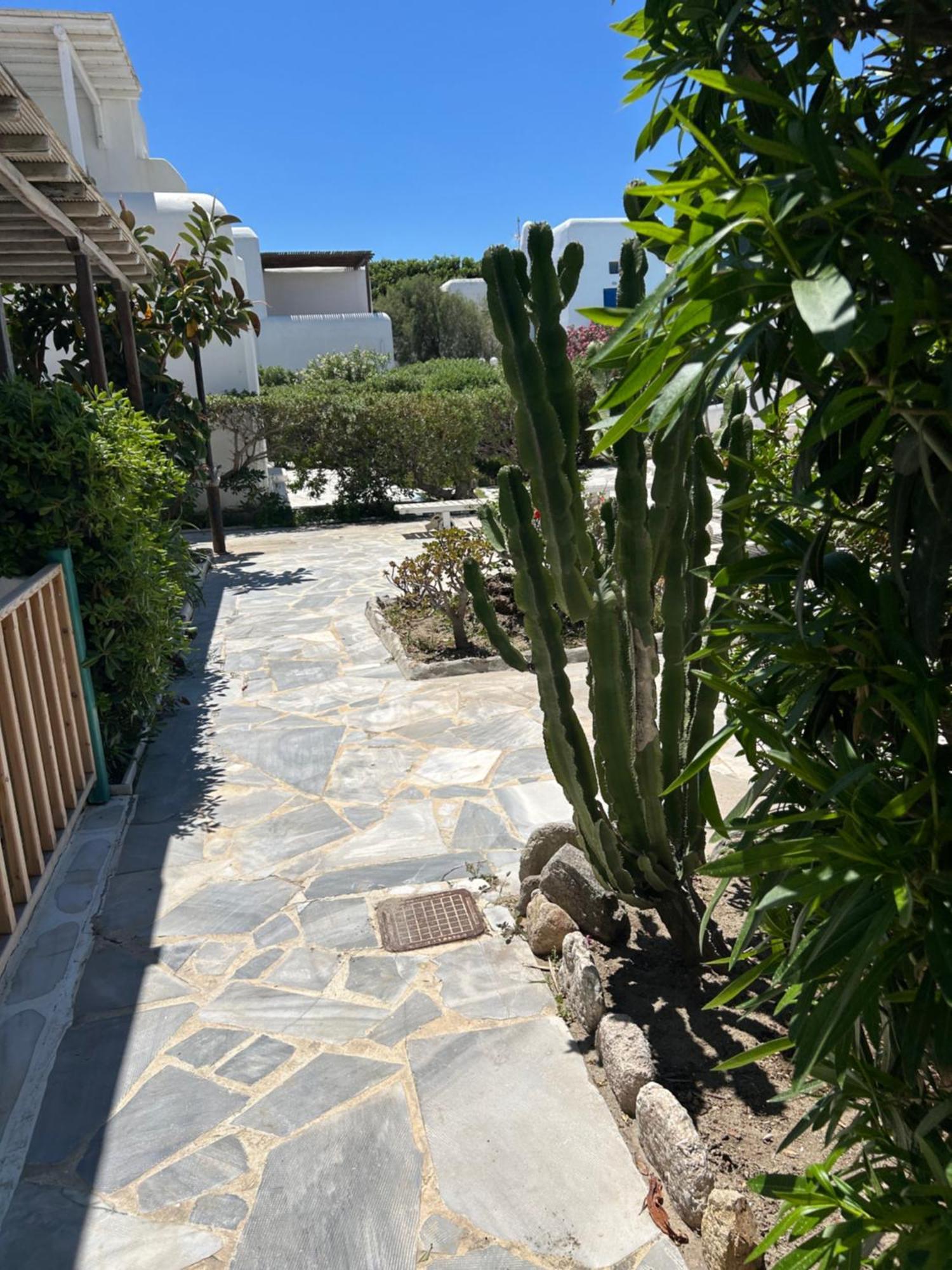 Luxury House With Swimming Pool In Ornos Mykonos Villa Luaran gambar
